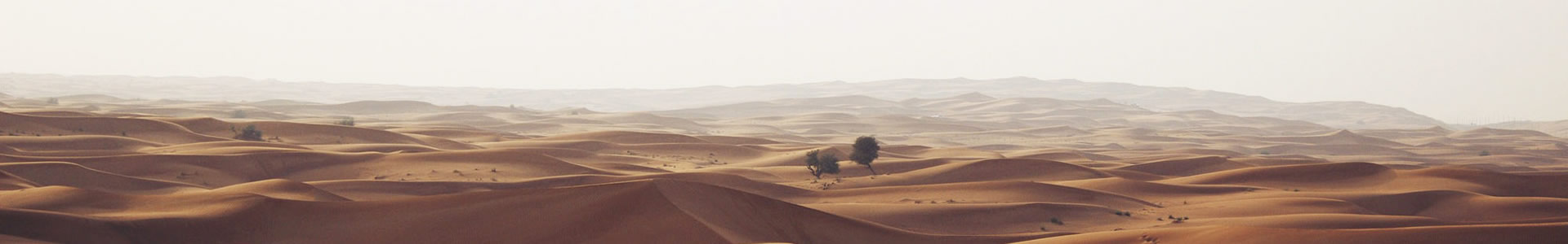ڲܱװ޹˾